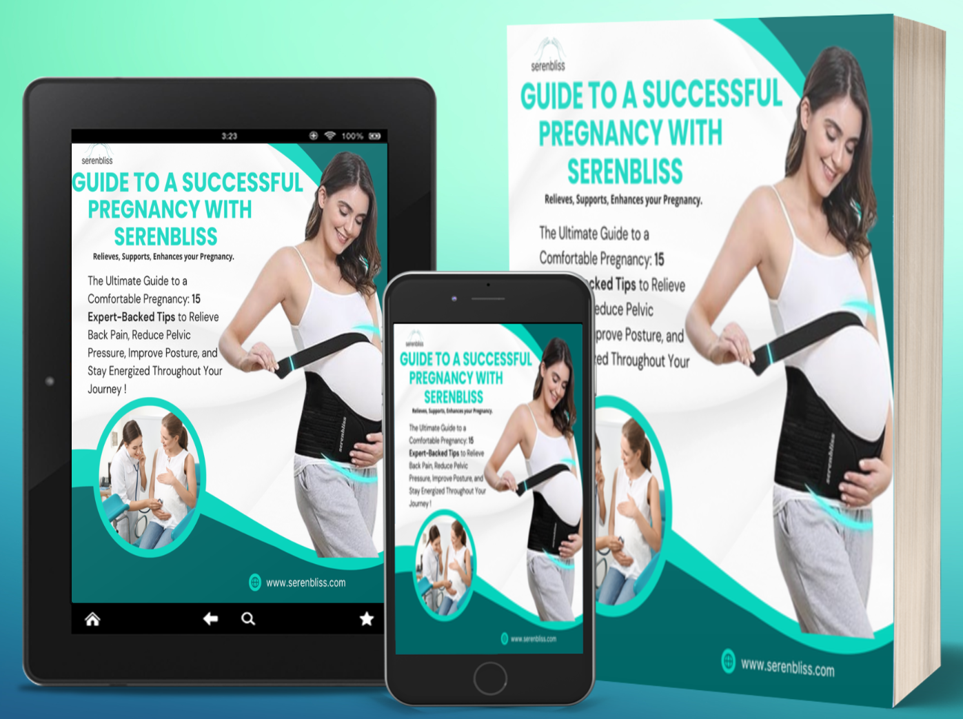 Ebook Guide To Successful Pregnancy